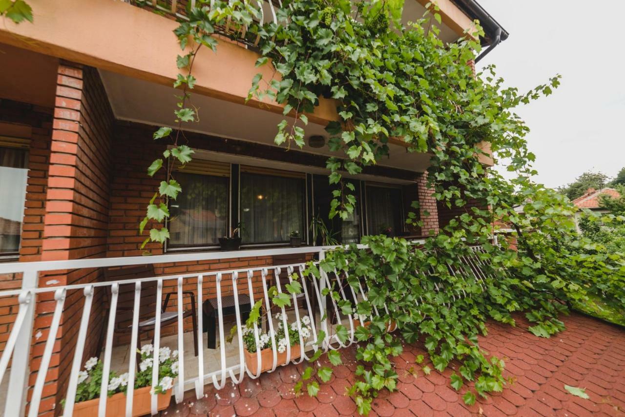 Rooms & Apartment Gh Pasha Tuzla Exterior foto